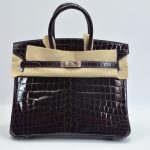 birkin 25 croco prunoir nilo3 scaled 1