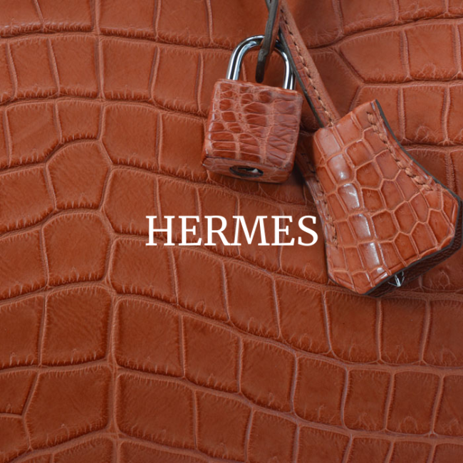 HERMES1